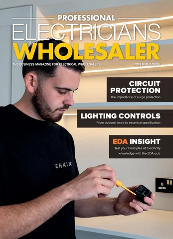 专业 Electricians Wholesaler November 2026