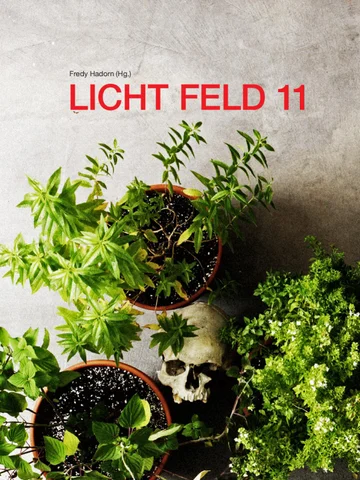 LICHT FELF 11