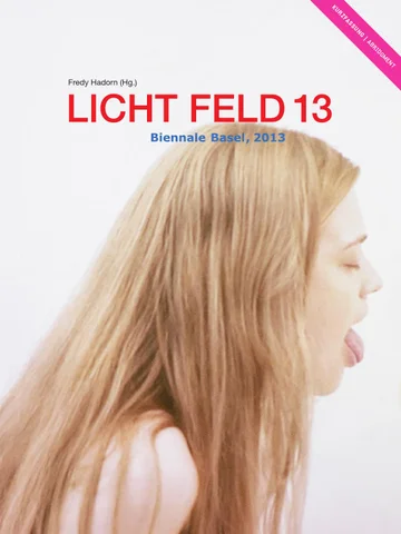 LICHT FELD 13 灯饰目录 kurzfassung