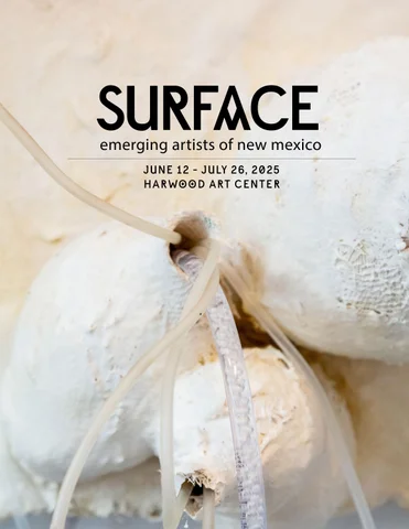 SURFACE 2025 Exhibition 灯饰目录