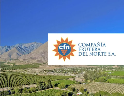 Maqueta Manual 德文 Identidad Visual Corporativa 德文 la Compañía Frutera del Norte S.A.