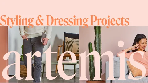 Artemis - 全集 Projects