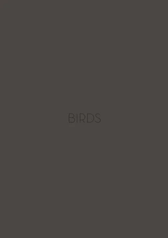 Birds 家具产品集 2020