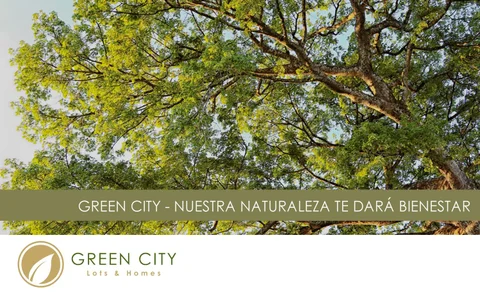 GREEN CITY LOTS AND HOMES 家具手册 ( 西班牙 )