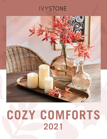 Cozy Comforts
