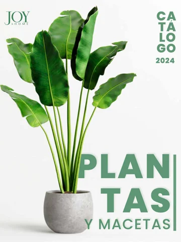 家具目录 Plantas × Macetas 2024