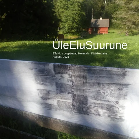 夏季 workshop of the Estonian 布艺 artists in Kääriku, Heimtali. August, 2021.