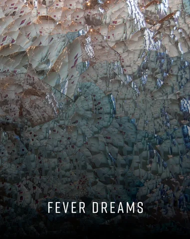 FEVER DREAMS