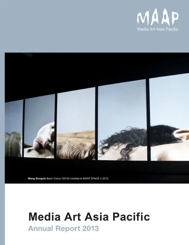 Maap 2013 report