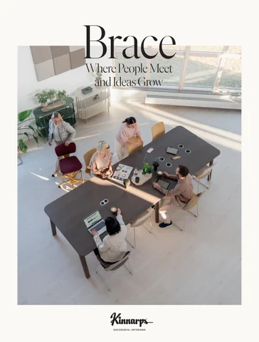 Brace - Inspirational 家具手册 [ 英文 ]