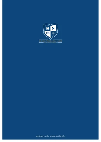 工业风 Internship 小册