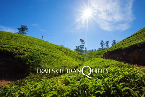 Trails of Tranquility