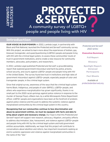 P&S Executive Summary