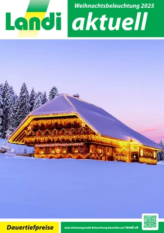 LANDI Themenflyer Weihnachtsbeleuchtung