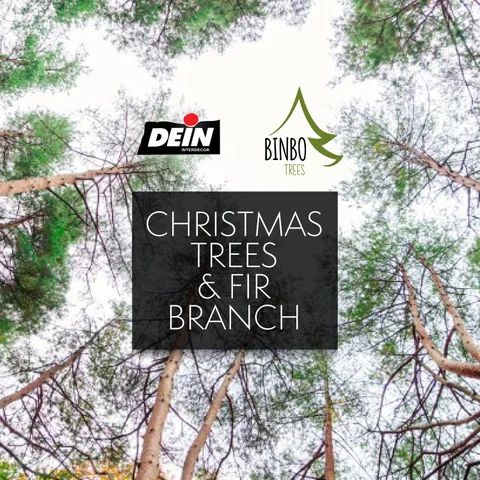 Binbo Trees 灯饰目录 2022 - Dein Interdecor