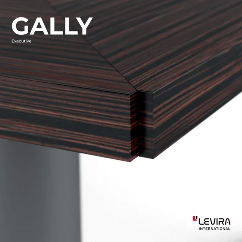 Levira GALLY Executive 办公 System
