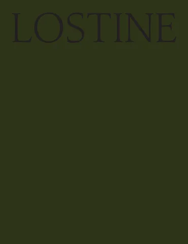 Lostine 灯饰目录 · LOSTINE: 册 IV