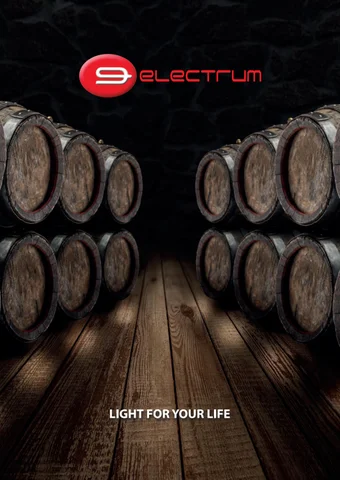 ELECTRUM - 灯饰目录 2020