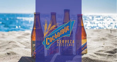 Cocholgue