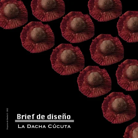 Brief 德文 diseño - La dacha Cúcuta