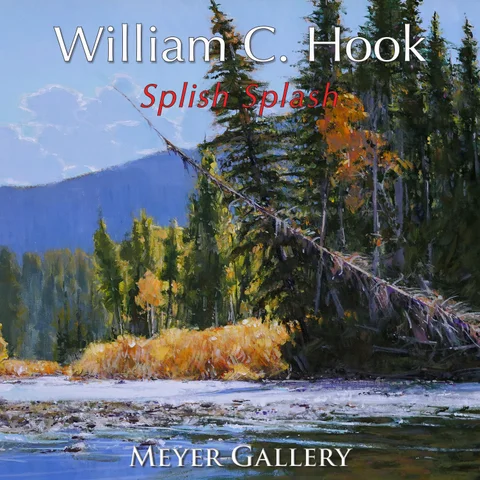William C. Hook: Splish Splash