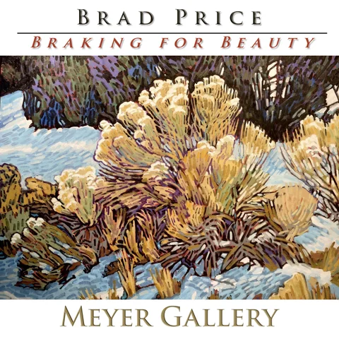 Brad Price: Braking for Beauty