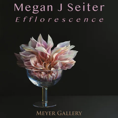 Megan Seiter: Efflorescence