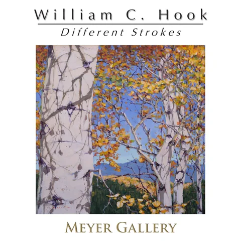 William C. Hook: Different Strokes