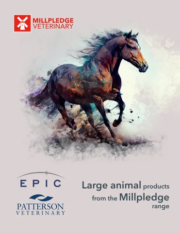 Large Animal Products from the Millpledge 灯饰系列