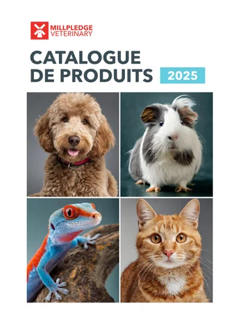 Millpledge Veterinary 法国 灯饰目录 2025