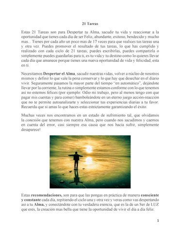 21 TAREAS