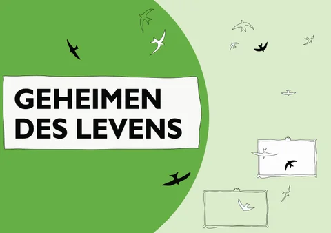 Geheimendeslevens 灯饰目录 2016 v1