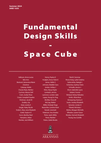 S24 IARD 1035 | Space Cube