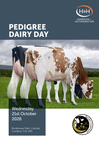 Club Dairy Sale 131026
