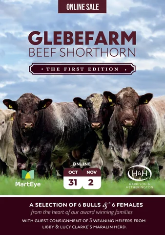 Glebefarm BSH 2026