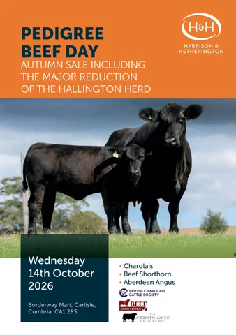 Pedigree Beef Day and Hallington 141026