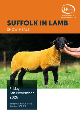 Suffolk V2 061126