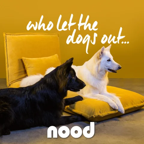 who let the dogs out - with nood