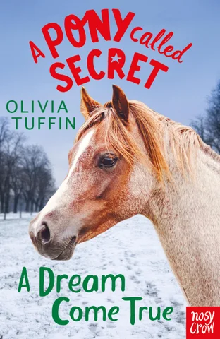 A Pony Called Secret: A Dream Come True - 预览
