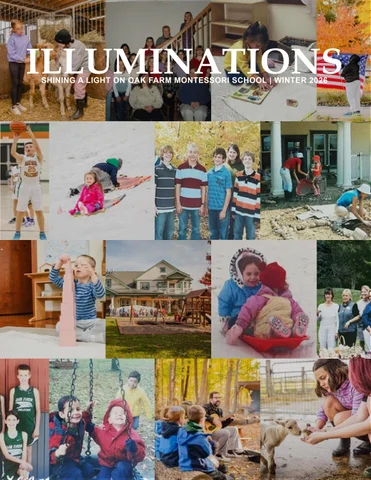 Illuminations | 冬季 2026