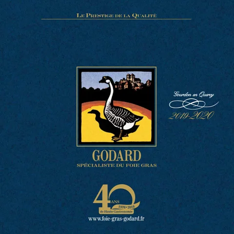 Godard 2020