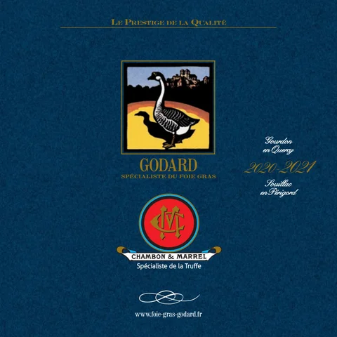 GODARD - 灯饰目录 2020-2021
