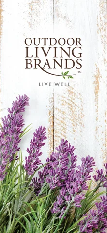 Franchise Overview — 户外 Living Brands