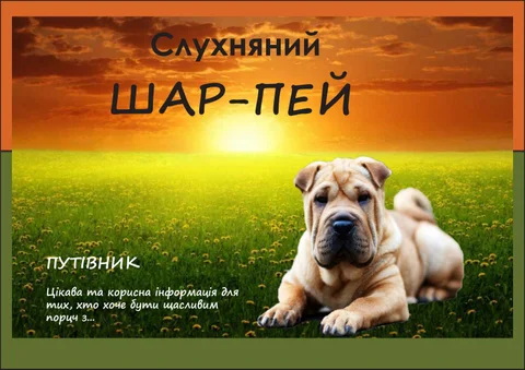 Шарпей