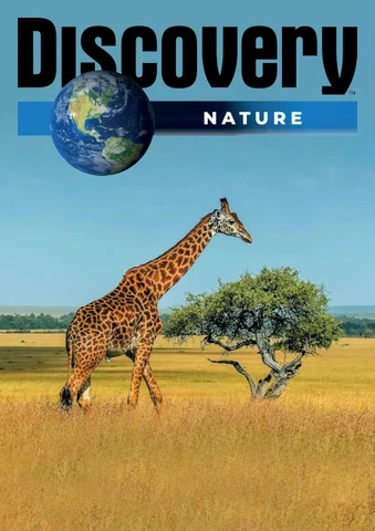Discovery