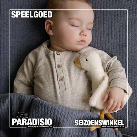 Speelgoedgids Paradisio