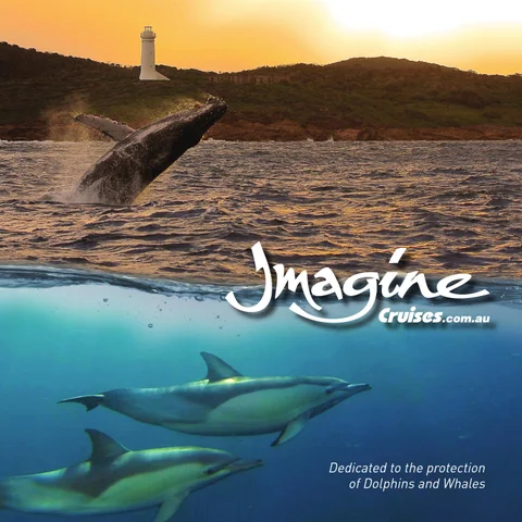 Imagine Cruises