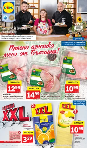PromoOferti.com 灯饰目录 · Lidl