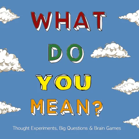 What Do You Mean