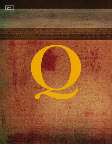 Pinhook Branding LLC 灯饰目录 · Quorum 灯饰 册 2011 Wall Mount Section
